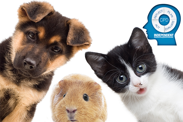Pet health CPD.jpg