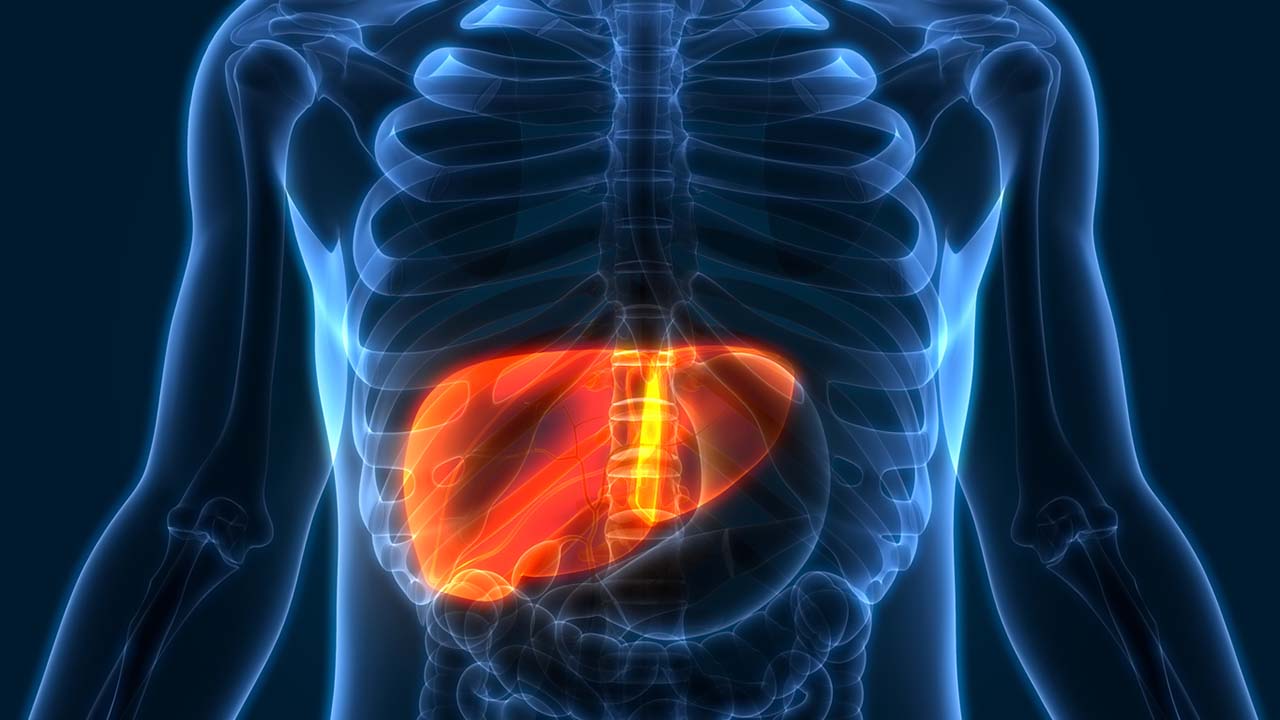 liver-1280x720