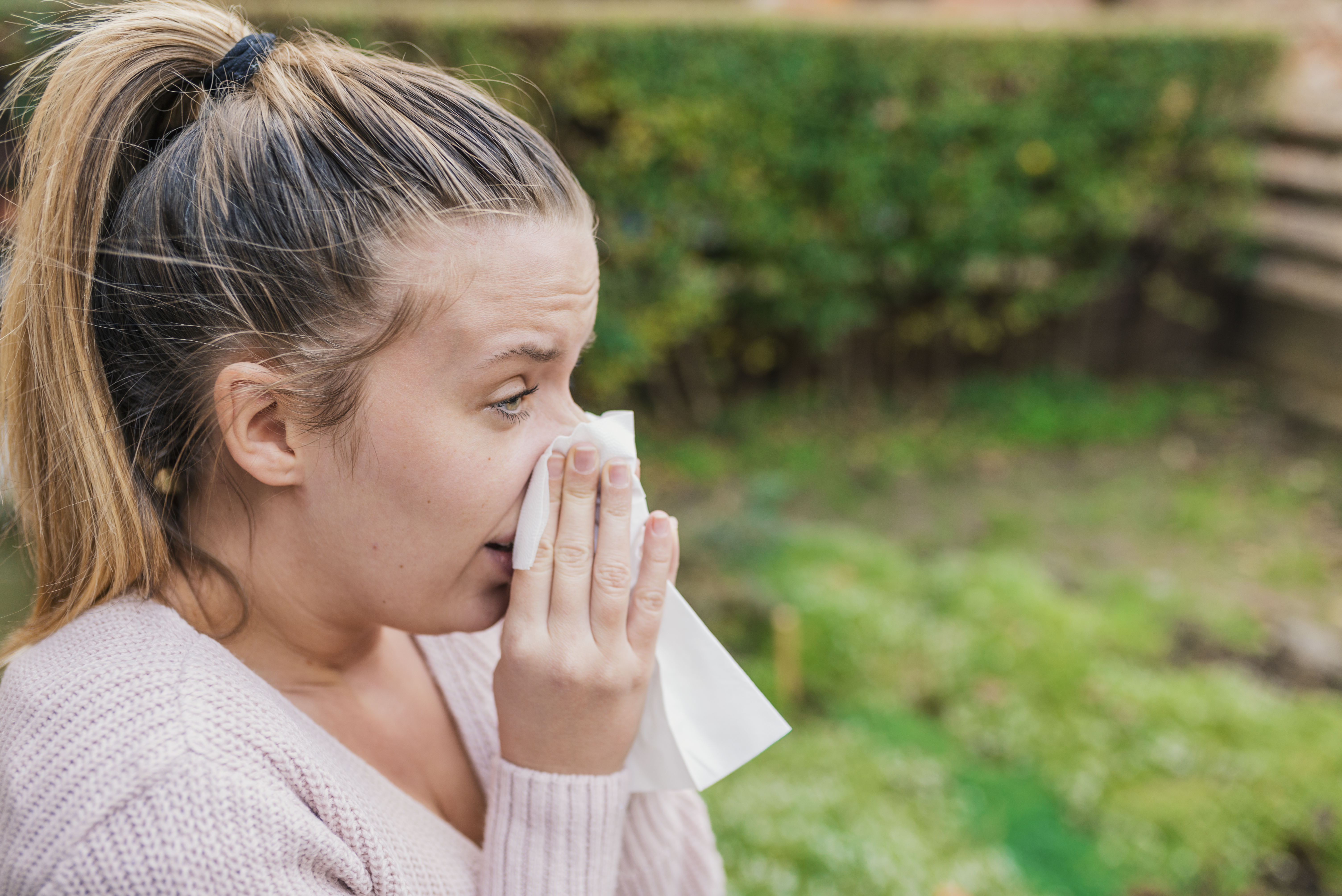 allergic rhinitis.jpg