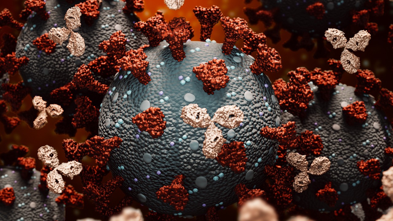 Monoclonal antibodies 1280.jpg