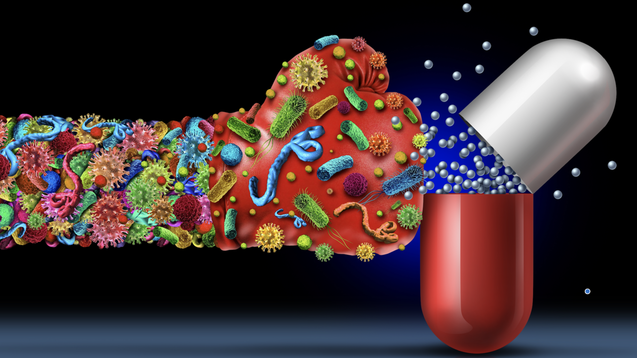 main course image