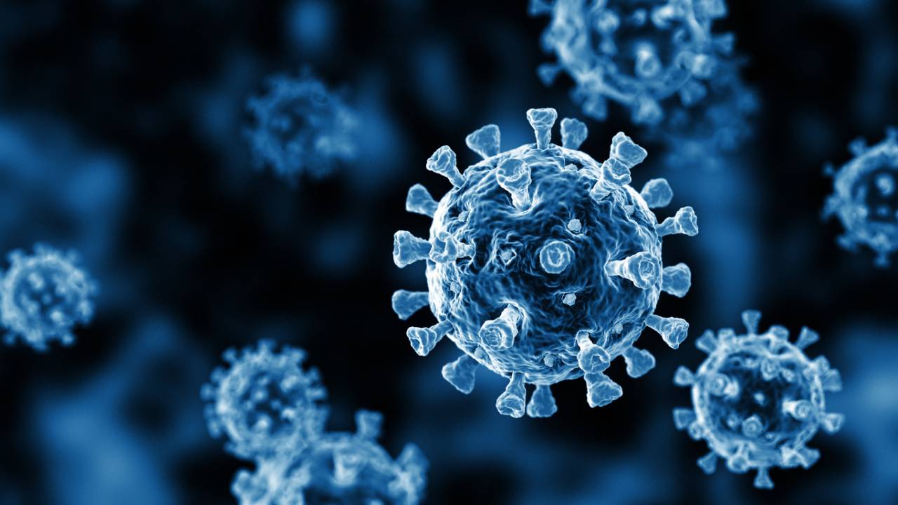 covid virus_summary.jpg