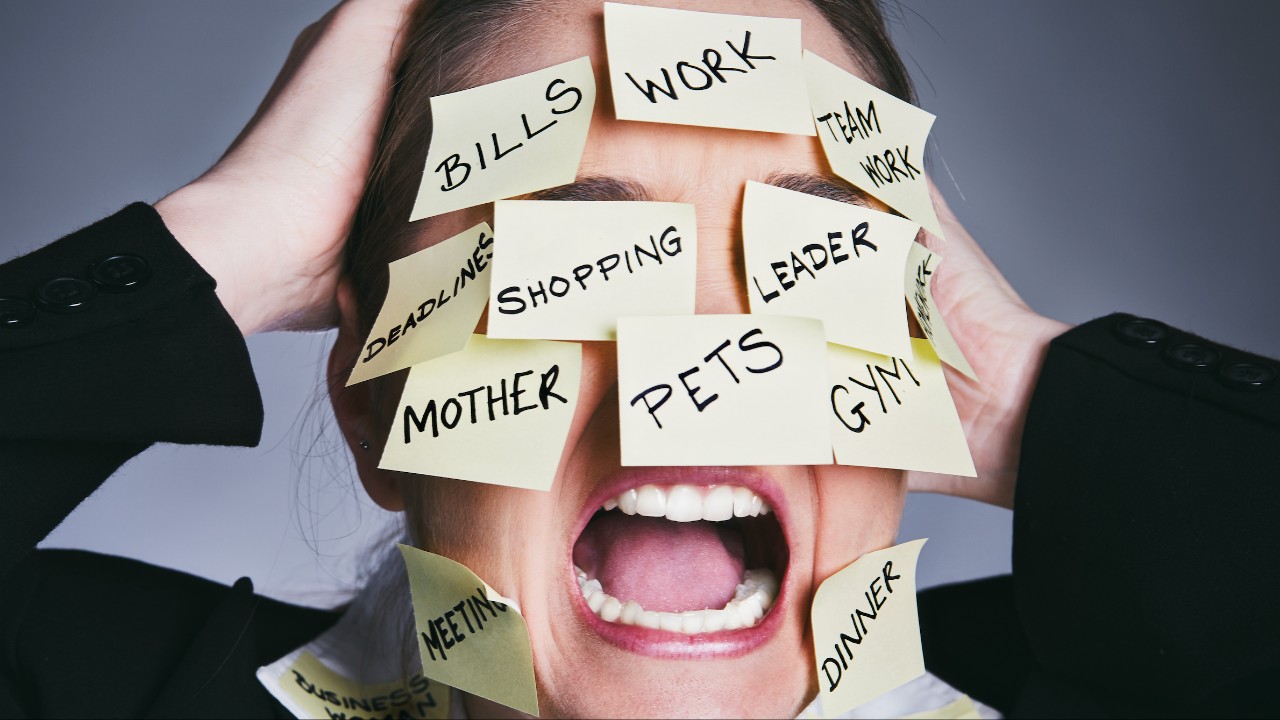 stress-2025-1280