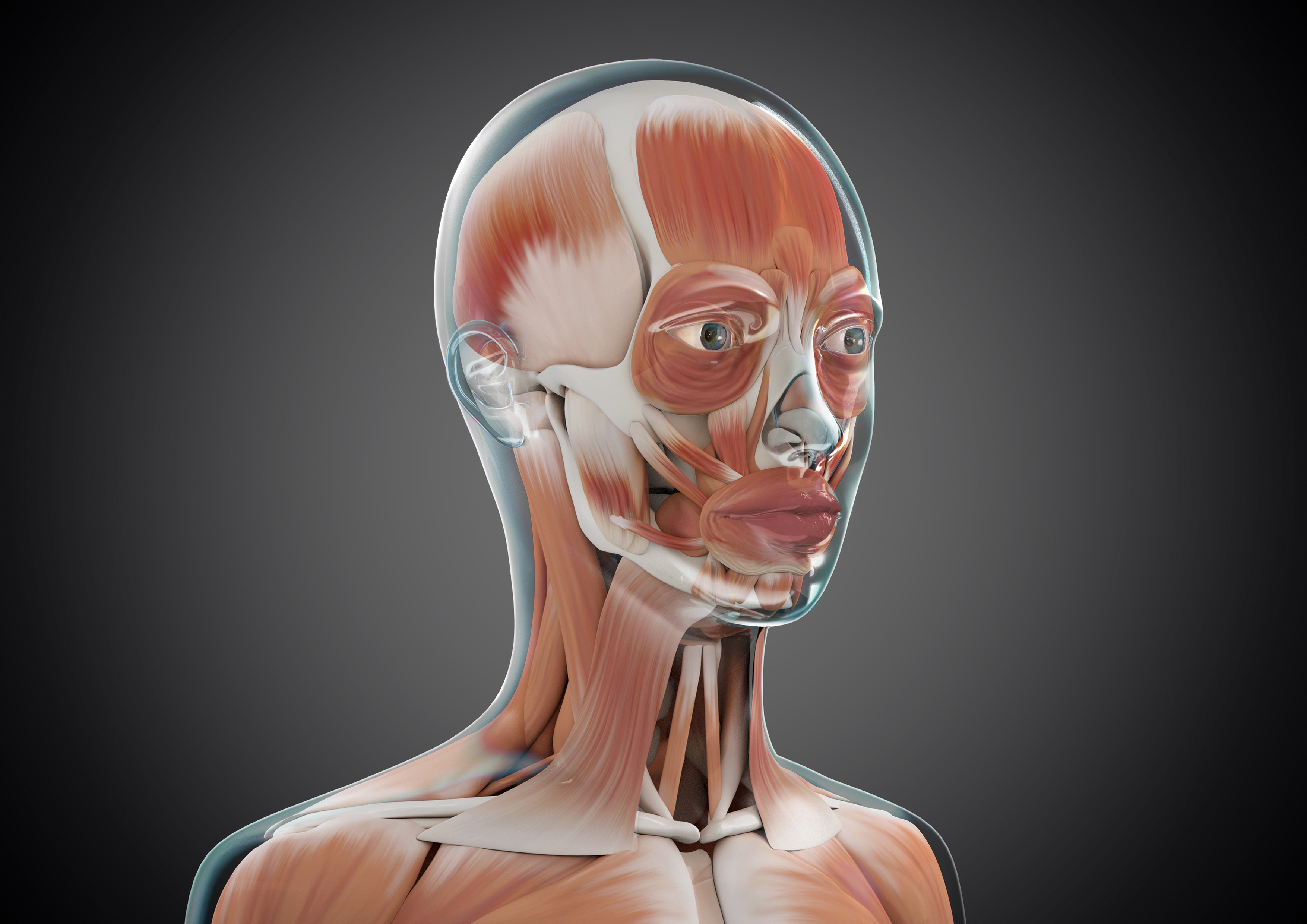 3D Head Artwork - Angled.jpg