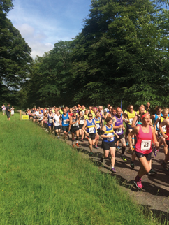 Runners race marathon.jpg