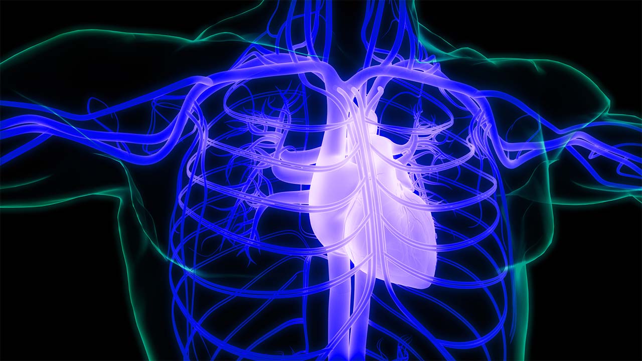 heart summary.jpg