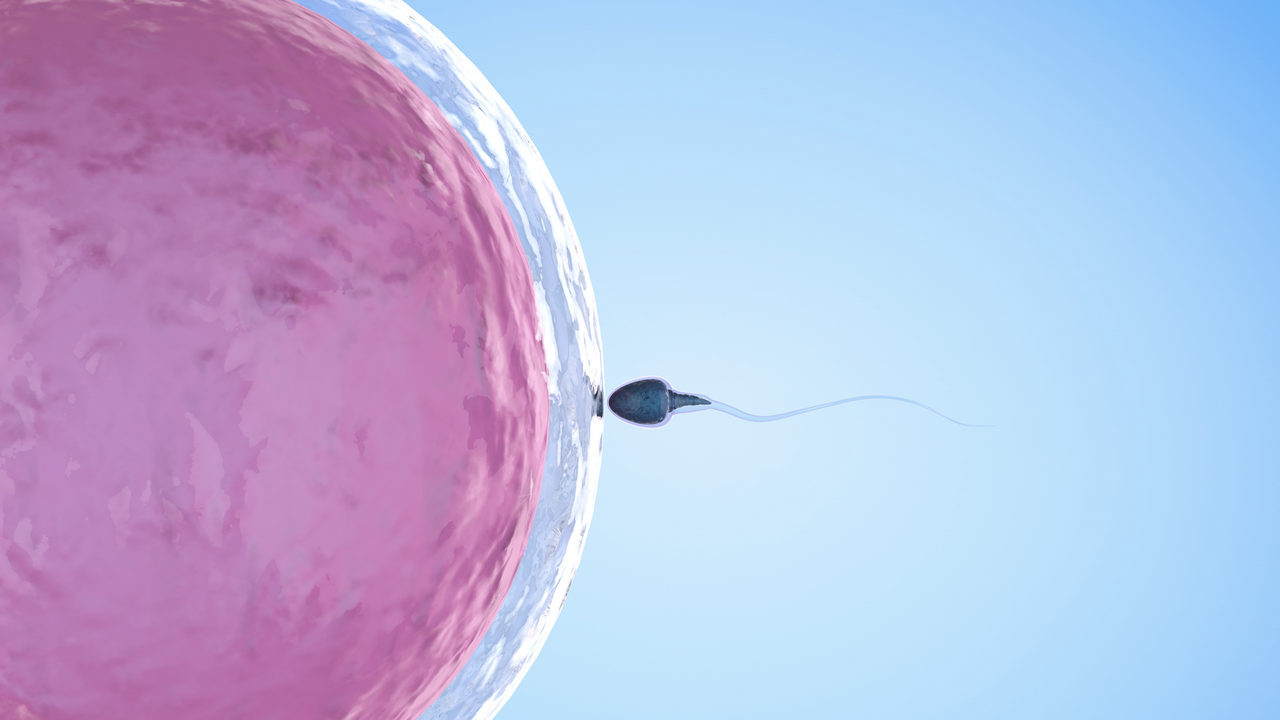 Fertility 1280.png