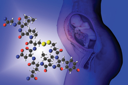 Pregnancy DNA.jpg
