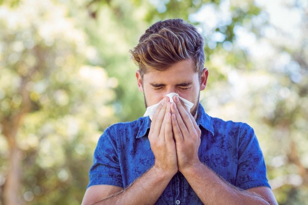 Hayfever 620.jpg
