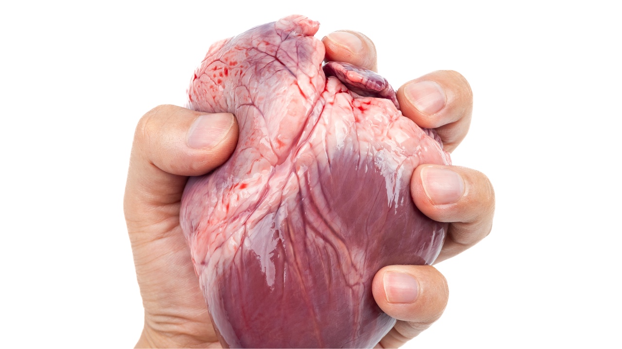 Heart disease 1280.jpg